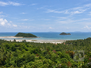 For sale land in Ko Pha-ngan, Surat Thani