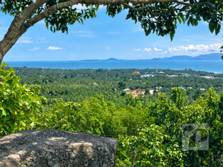 For sale land in Ko Pha-ngan, Surat Thani