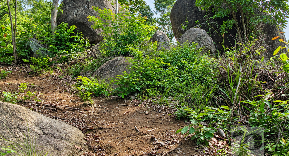 For sale land in Ko Pha-ngan, Surat Thani