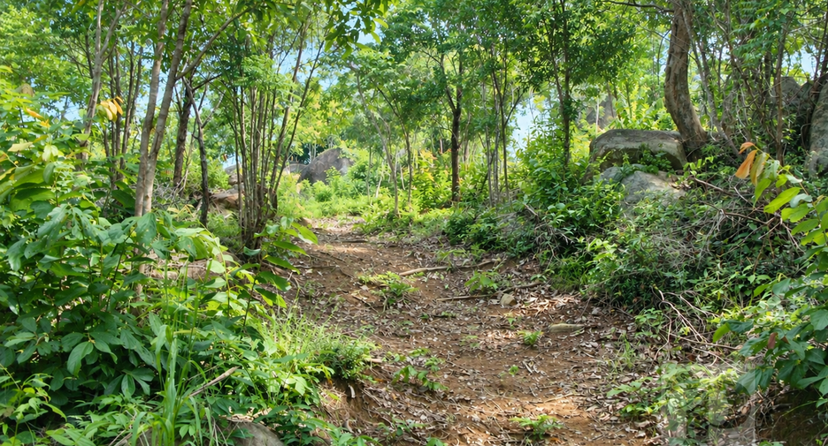 For sale land in Ko Pha-ngan, Surat Thani