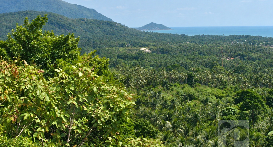 For sale land in Ko Pha-ngan, Surat Thani