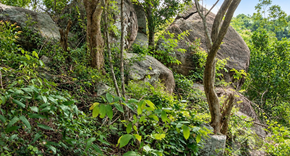 For sale land in Ko Pha-ngan, Surat Thani