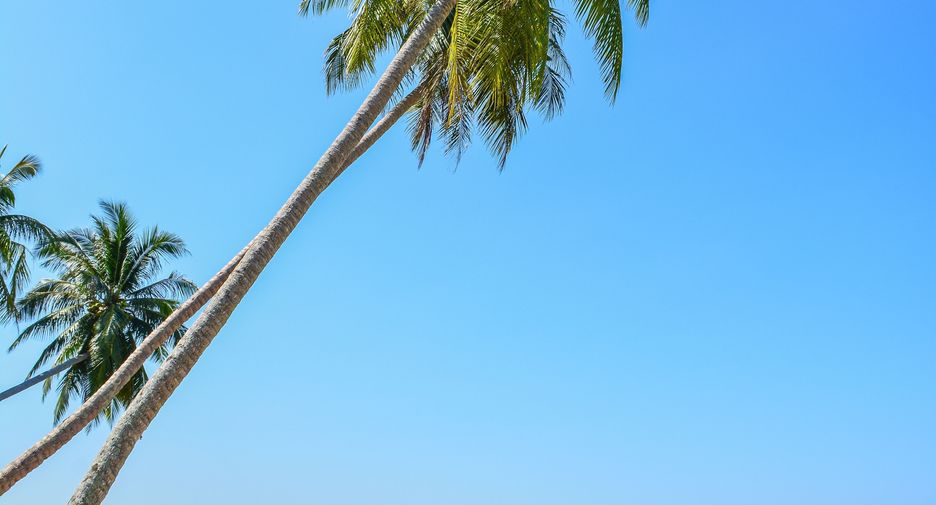 Villa zum Kauf mit 2 Zimmer in Ko Lanta, Krabi