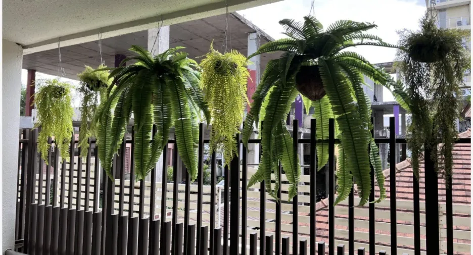Condo en alquiler de 1 habitaciones en Mueang Chiang Mai, Chiang Mai