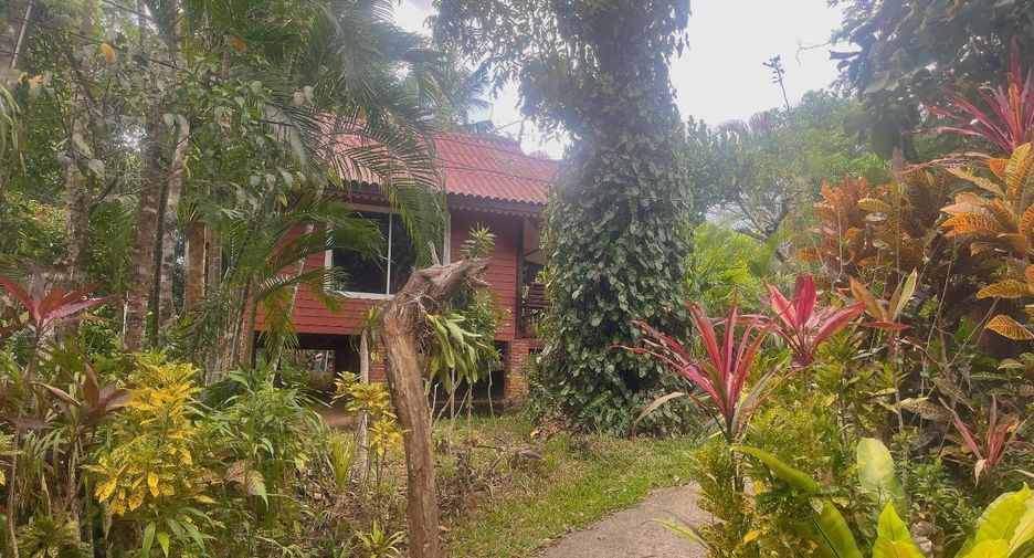Local comercial en alquiler de 7 habitaciones en Mueang Krabi, Krabi