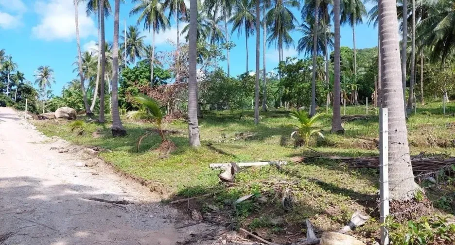 Продажа Участок в Khanom, Nakhon Si Thammarat
