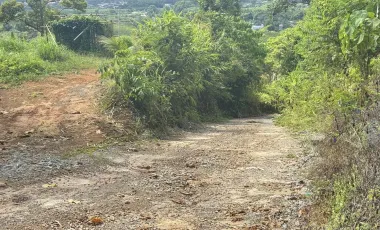 出售 土地 在 塔朗, 普吉
