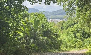 出售 土地 在 塔朗, 普吉