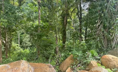 出售 土地 在 塔朗, 普吉