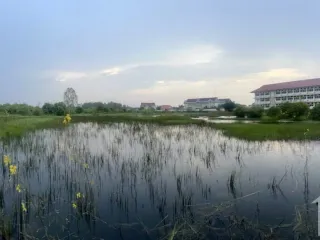 For sale land in Mueang Bung Kan, Bueng Kan