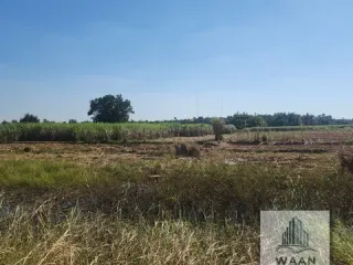 出售 土地 在 Ubolratana, Khon Kaen