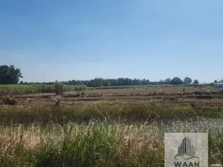 出售 土地 在 Ubolratana, Khon Kaen