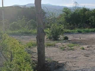 For sale land in Mueang Chiang Mai, Chiang Mai