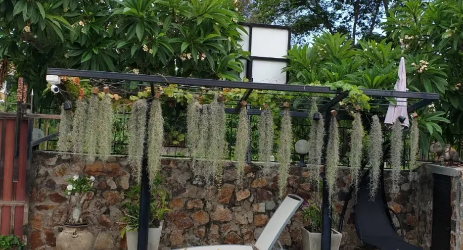 出售 3 卧室 独立屋 在 Bang Lamung, Chon Buri