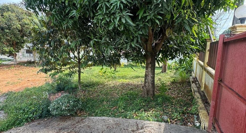 For sale land in Thalang, Phuket