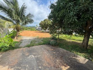 For sale land in Thalang, Phuket