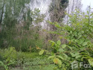 For sale land in Hua Hin, Prachuap Khiri Khan