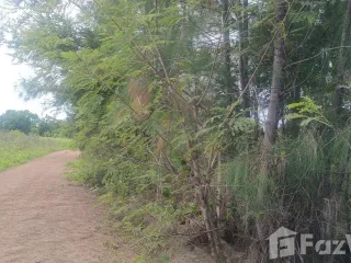 For sale land in Hua Hin, Prachuap Khiri Khan