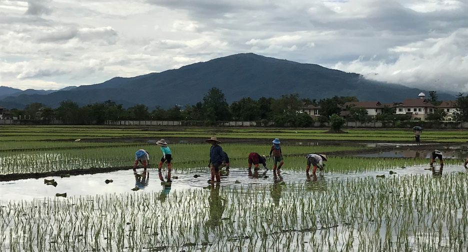 出售 4 卧室 独立屋 在 Hang Dong, Chiang Mai