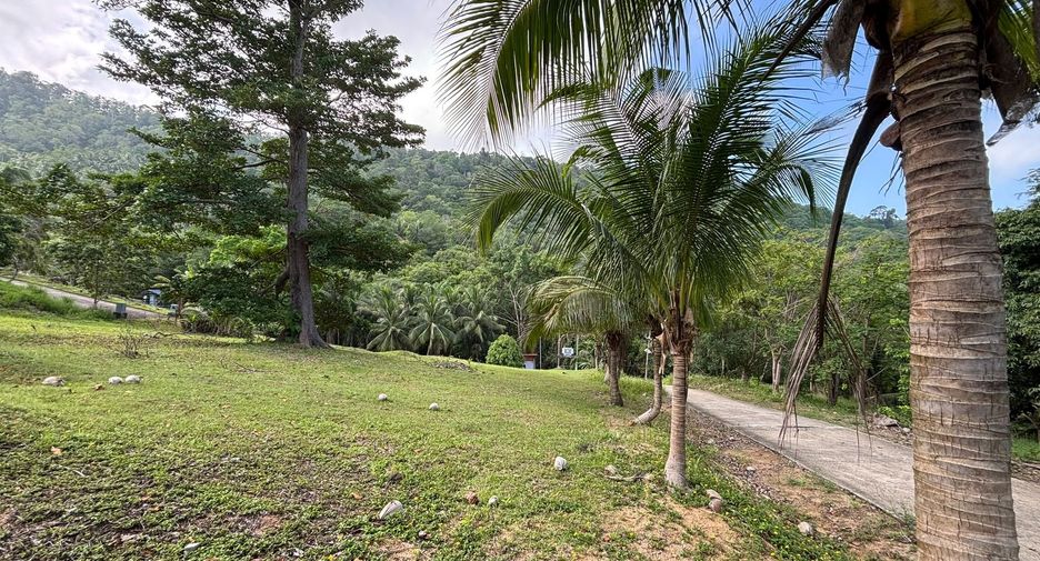 For sale land in Ko Samui, Surat Thani