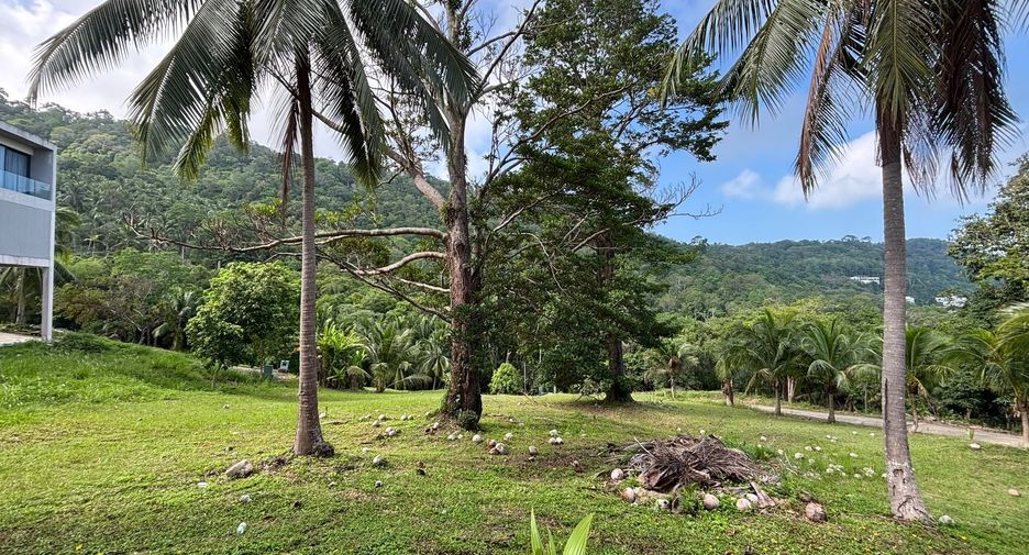 For sale land in Ko Samui, Surat Thani