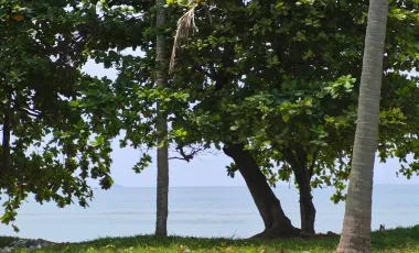 Grundstück zum Kauf in Ko Lanta, Krabi