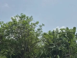 Продажа Участок в Ko Lanta, Краби