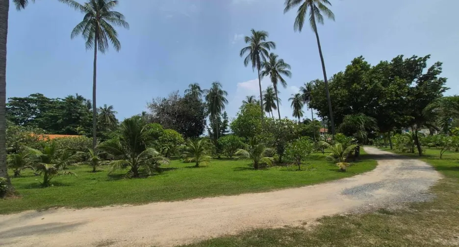 Grundstück zum Kauf in Ko Lanta, Krabi