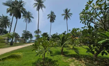 Grundstück zum Kauf in Ko Lanta, Krabi