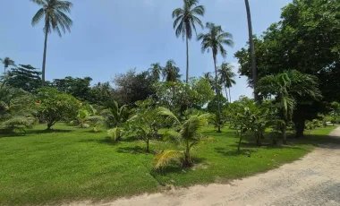 Grundstück zum Kauf in Ko Lanta, Krabi