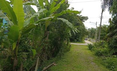 For sale 3 bedrooms house in Kantang, Trang