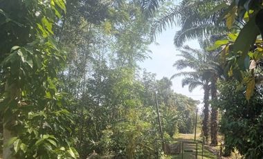 For sale 3 bedrooms house in Kantang, Trang