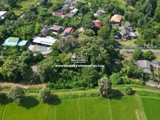 Grundstück zum Kauf in San Sai, Chiang Mai
