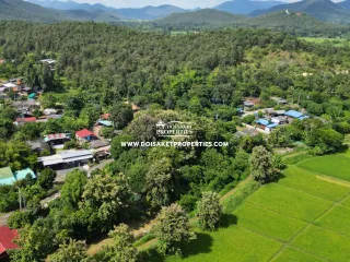 Grundstück zum Kauf in San Sai, Chiang Mai