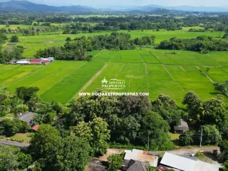 Grundstück zum Kauf in San Sai, Chiang Mai
