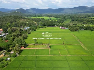 Grundstück zum Kauf in San Sai, Chiang Mai
