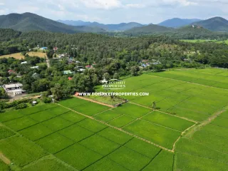 Grundstück zum Kauf in San Sai, Chiang Mai