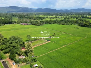Grundstück zum Kauf in San Sai, Chiang Mai