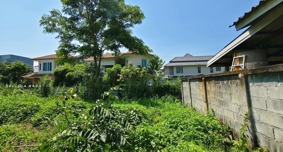Grundstück zum Kauf in San Sai, Chiang Mai