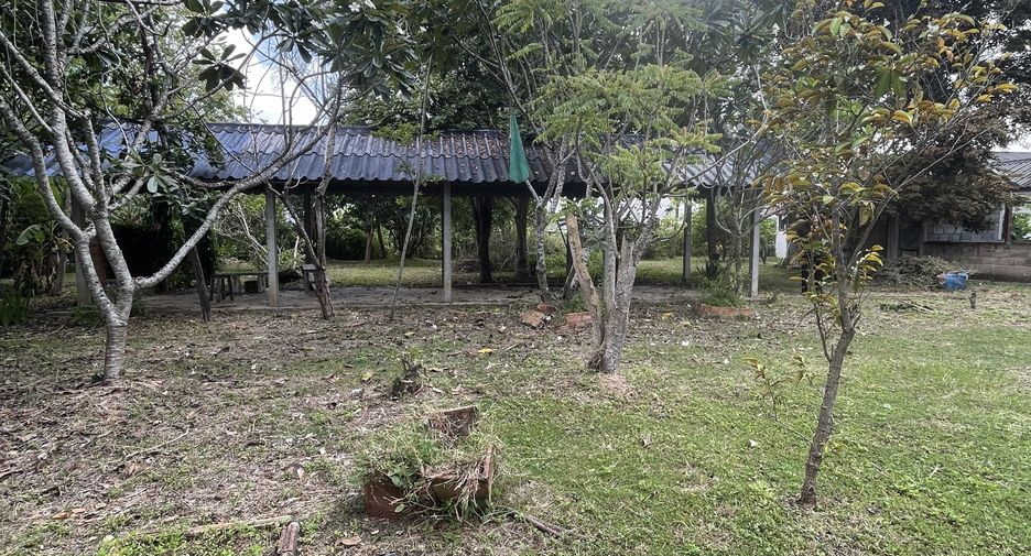 For sale land in San Kamphaeng, Chiang Mai