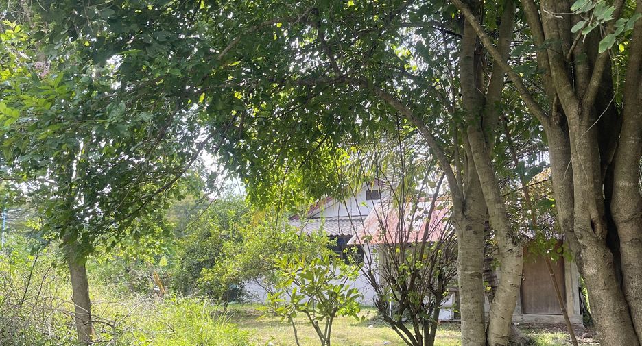 For sale land in San Kamphaeng, Chiang Mai