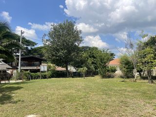For sale land in San Kamphaeng, Chiang Mai
