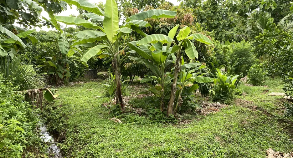 Haus zum Kauf mit 1 Zimmer in Mae Taeng, Chiang Mai