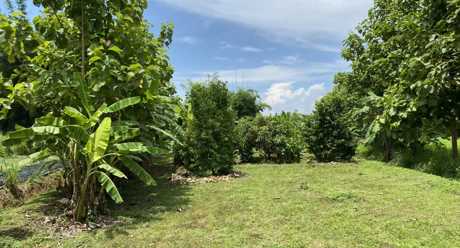 Haus zum Kauf mit 1 Zimmer in Mae Taeng, Chiang Mai