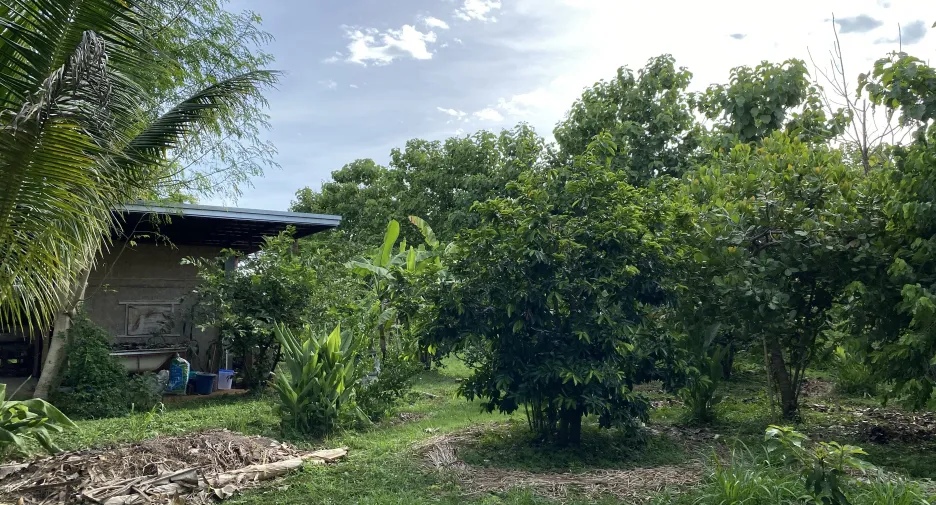 Haus zum Kauf mit 1 Zimmer in Mae Taeng, Chiang Mai