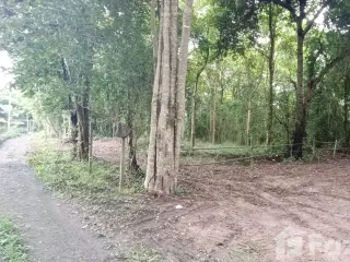 For sale land in San Pa Tong, Chiang Mai