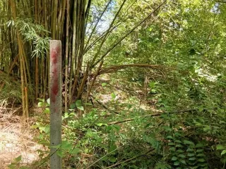 For sale land in San Pa Tong, Chiang Mai