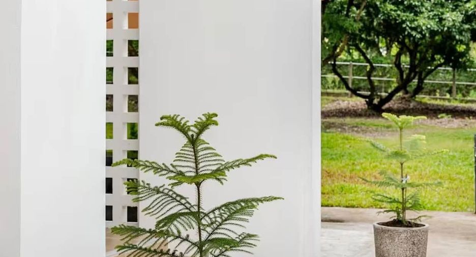 For rent 2 bedrooms house in Mae Rim, Chiang Mai