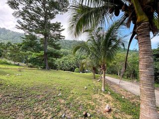 For sale land in Ko Samui, Surat Thani