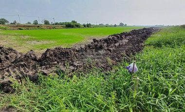 For sale 1 bed land in Lat Krabang, Bangkok